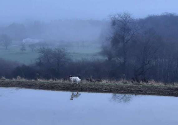 1. Fotochallenge Collagen - 4 Jahreszeiten-Beitrag-Bild