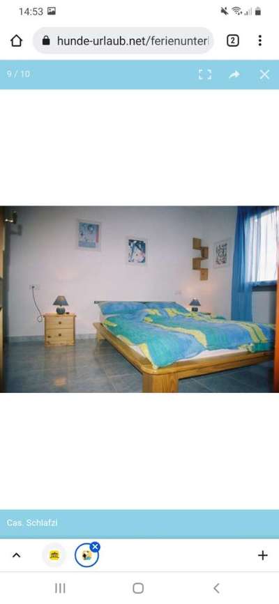 TierschutzhundeStammtisch🐕-Beitrag-Bild