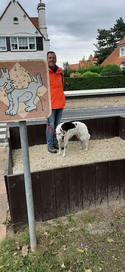 TierschutzhundeStammtisch🐕-Beitrag-Bild