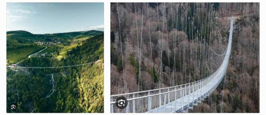 TierschutzhundeStammtisch🐕-Beitrag-Bild