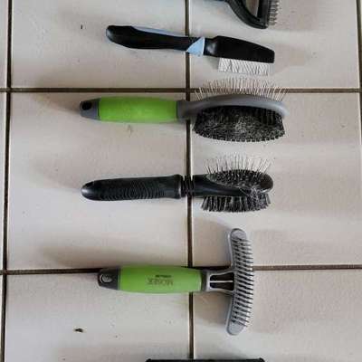 Bürstenempfehlung-Beitrag-Bild