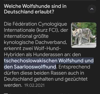 TierschutzhundeStammtisch🐕-Beitrag-Bild