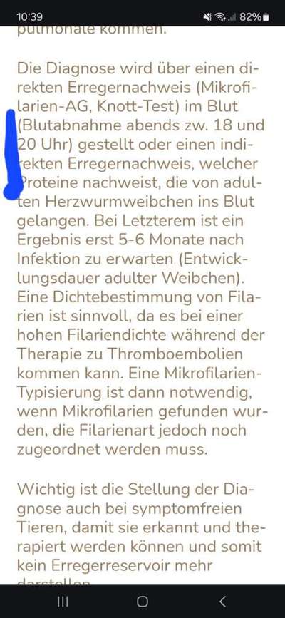 TierschutzhundeStammtisch🐕-Beitrag-Bild