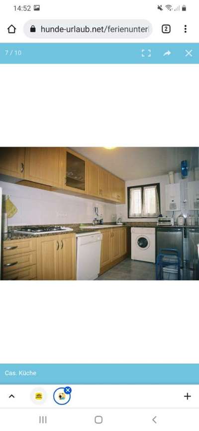 TierschutzhundeStammtisch🐕-Beitrag-Bild