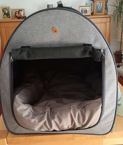 TierschutzhundeStammtisch🐕-Beitrag-Bild