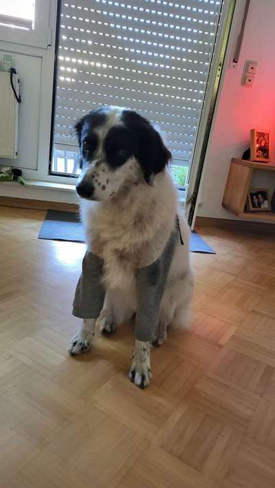 Hautausschlag-Beitrag-Bild