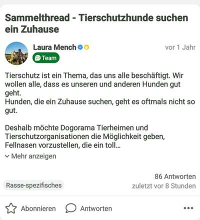 Herdenschutzhunde-Beitrag-Bild