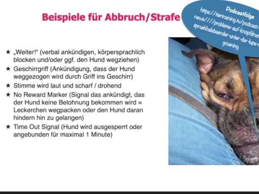 TierschutzhundeStammtisch🐕-Beitrag-Bild