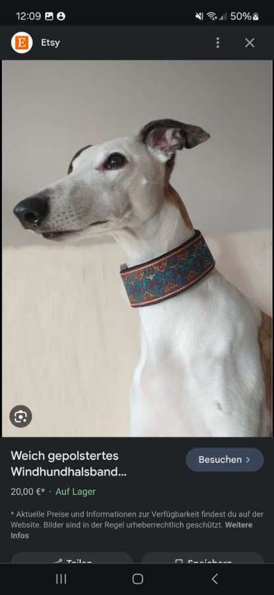 TierschutzhundeStammtisch🐕-Beitrag-Bild