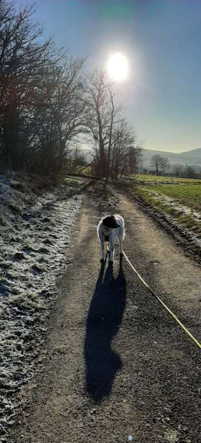 Fotochallenge 88-Beitrag-Bild