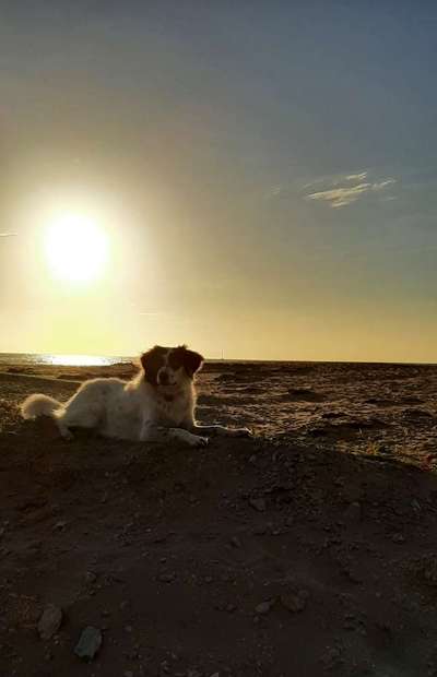 SonnenSTRAHLEN-Beitrag-Bild