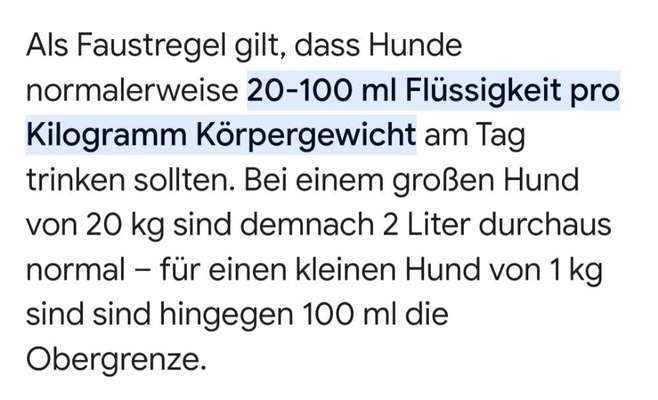 Ständig durstig, viel Wasser lassen , nachts in Wohnung urinieren.-Beitrag-Bild