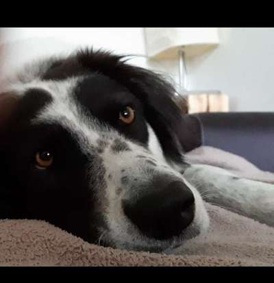 150. Foto Challaenge:  Die Augen, der Spiegel der Seele-Beitrag-Bild