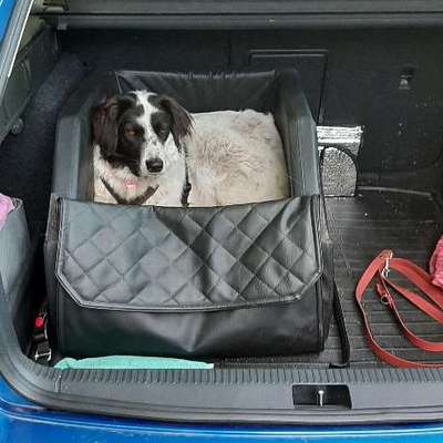 Angst im Auto-Beitrag-Bild