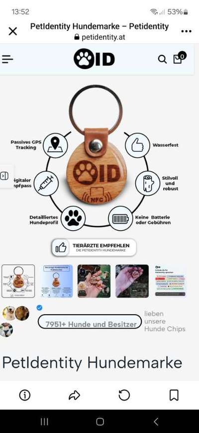 TierschutzhundeStammtisch🐕-Beitrag-Bild