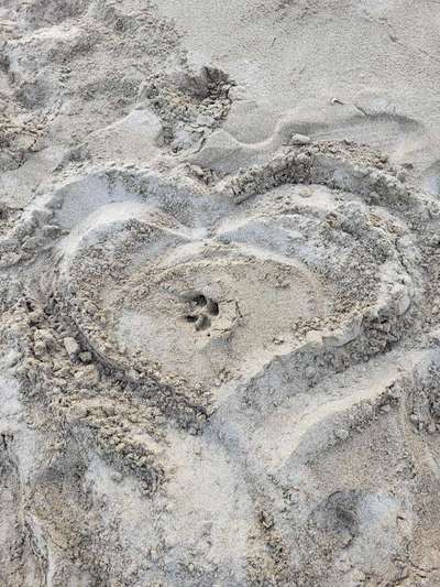 TierschutzhundeStammtisch🐕-Beitrag-Bild