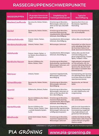 TierschutzhundeStammtisch🐕-Beitrag-Bild