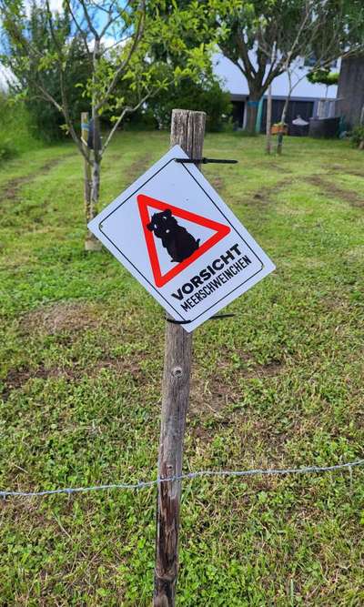 TierschutzhundeStammtisch🐕-Beitrag-Bild