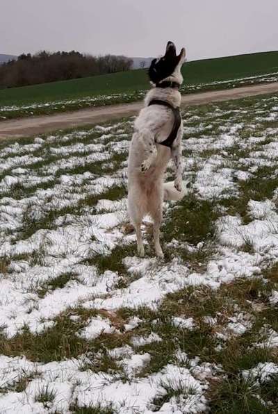 Verspielt-Beitrag-Bild