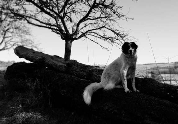 Foto-Challenge 76: Foto in Schwarz-Weiss-Beitrag-Bild