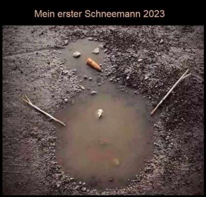 TierschutzhundeStammtisch🐕-Beitrag-Bild