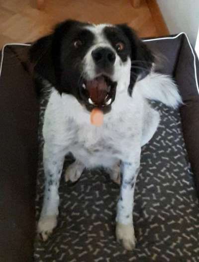 Fotochallenge 110: Lustige und schöne Schnappfotos-Beitrag-Bild