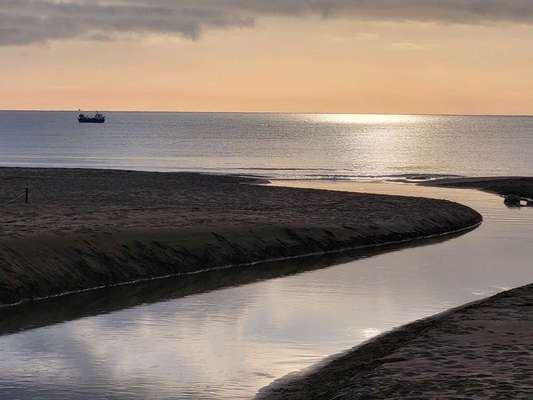 TierschutzhundeStammtisch🐕-Beitrag-Bild