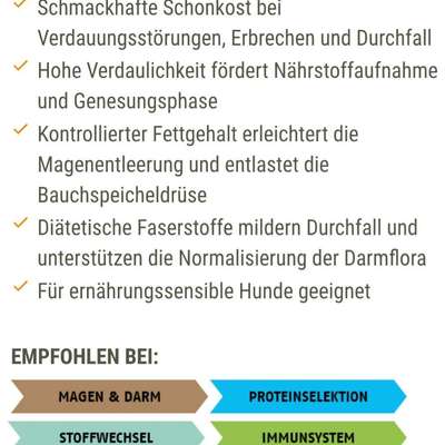 Sehr mäkeliger Hund-Beitrag-Bild