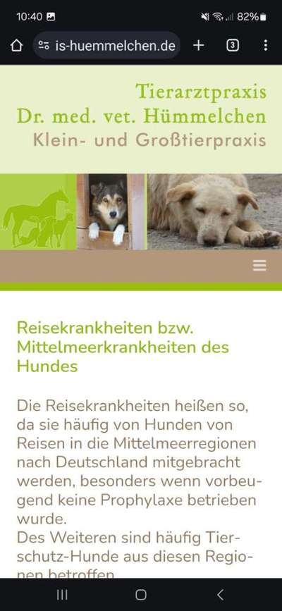 TierschutzhundeStammtisch🐕-Beitrag-Bild