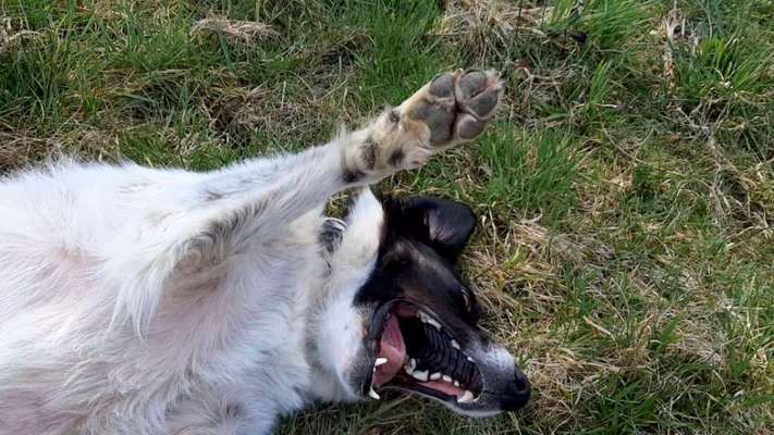 20. Handy -Foto-Callenge-Beitrag-Bild