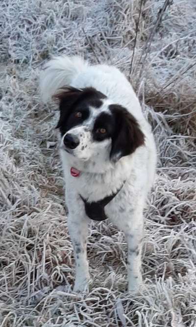 Lieblings Fotos-Beitrag-Bild