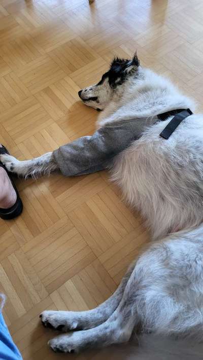 Hautausschlag-Beitrag-Bild