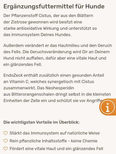 Zecken Saison-Beitrag-Bild