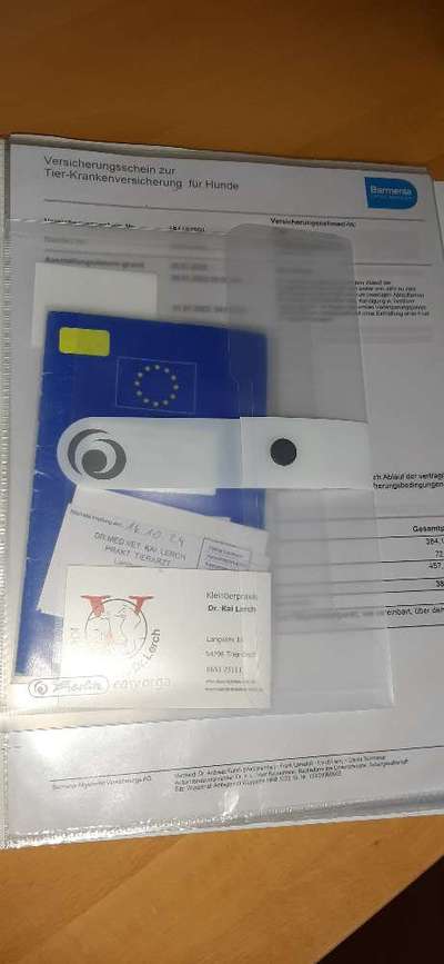 Impfpasshülle ja/nein?-Beitrag-Bild