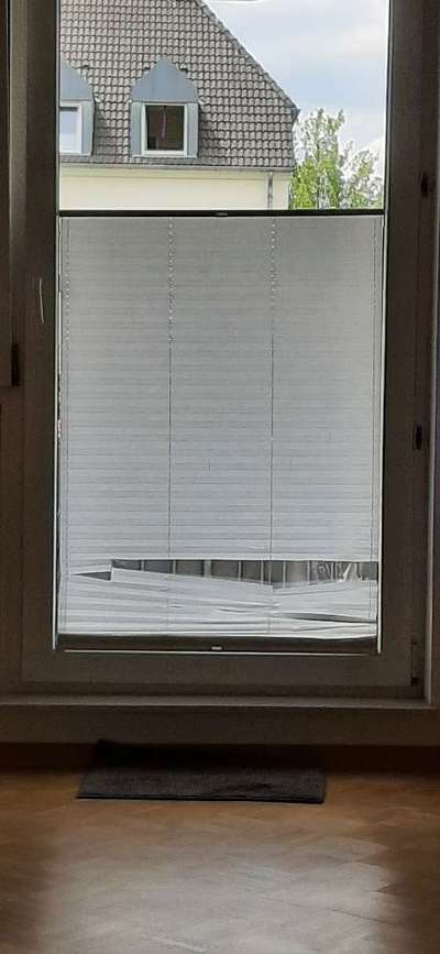 TierschutzhundeStammtisch🐕-Beitrag-Bild