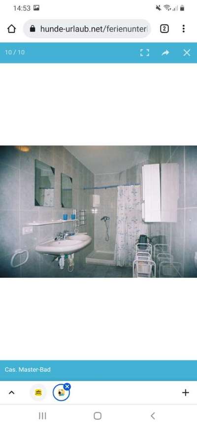 TierschutzhundeStammtisch🐕-Beitrag-Bild