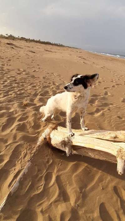 17. Farben Foto Challenge: Pastellfarben-Beitrag-Bild