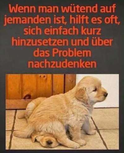 TierschutzhundeStammtisch🐕-Beitrag-Bild