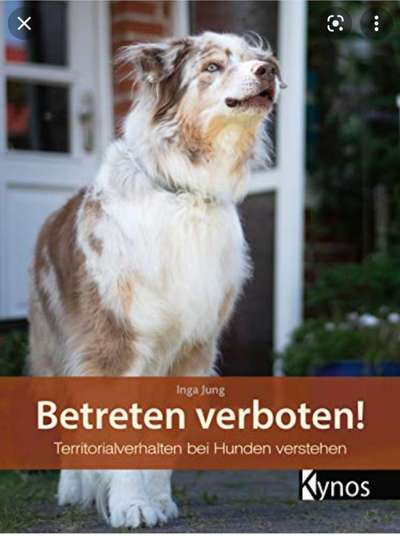 Hunde-Fachliteratur-Beitrag-Bild