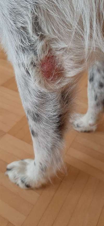 Sind das Liegeschwielen?-Beitrag-Bild