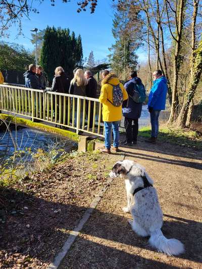 TierschutzhundeStammtisch🐕-Beitrag-Bild