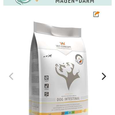 Sehr mäkeliger Hund-Beitrag-Bild