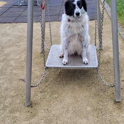 Reiseübelkeit-Beitrag-Bild