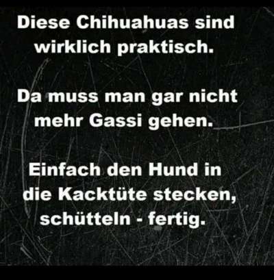 Hunde Memes-Beitrag-Bild