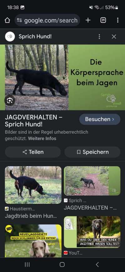TierschutzhundeStammtisch🐕-Beitrag-Bild