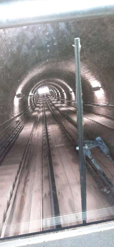 TierschutzhundeStammtisch🐕-Beitrag-Bild