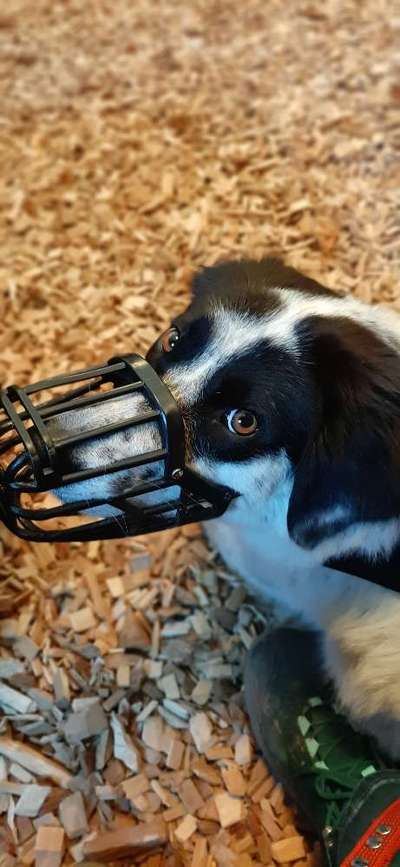 Moviestar-Pics!-Beitrag-Bild