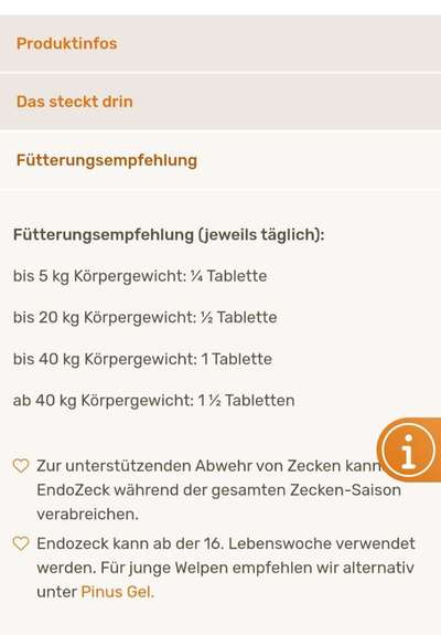 Zecken Saison-Beitrag-Bild