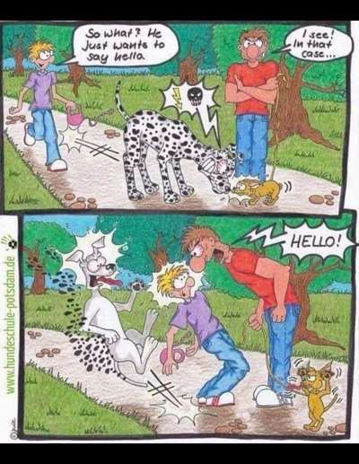 TierschutzhundeStammtisch🐕-Beitrag-Bild