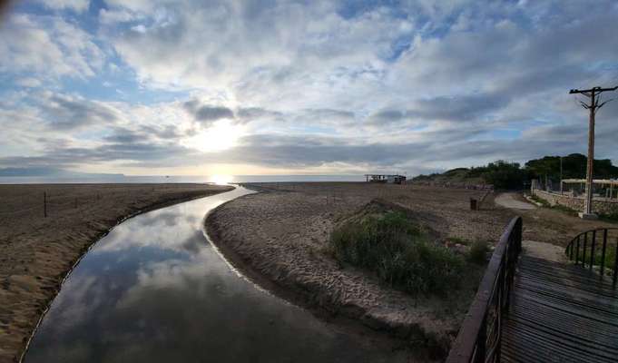 TierschutzhundeStammtisch🐕-Beitrag-Bild